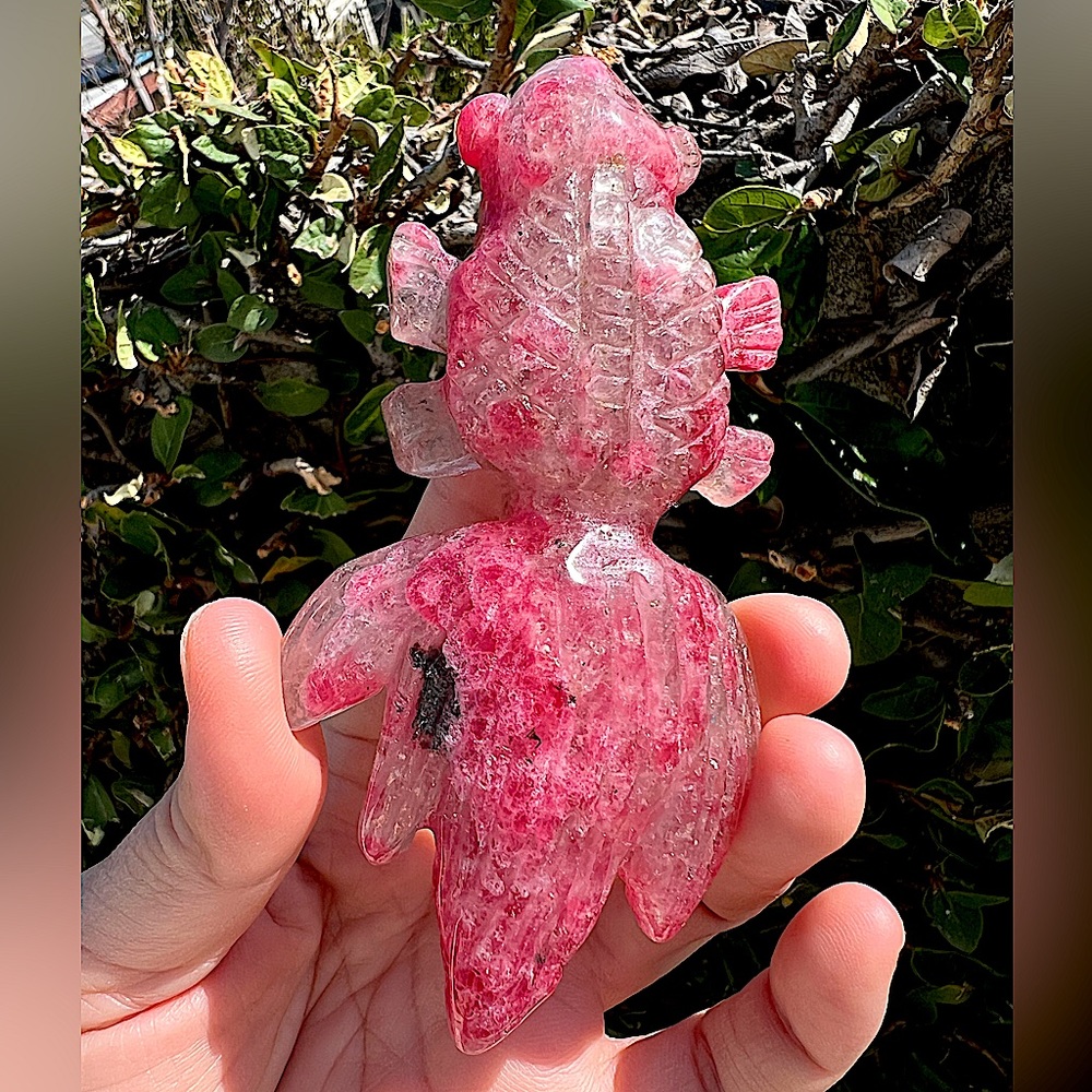 Rhodonite With Quartz Goldfish Carving